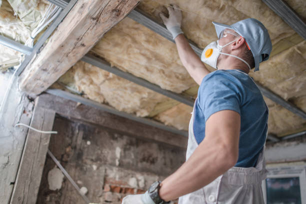 Best Insulation Maintenance and Repair in Morristown, NJ