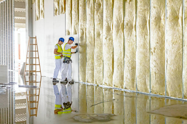 Best Insulation Maintenance and Repair in Morristown, NJ